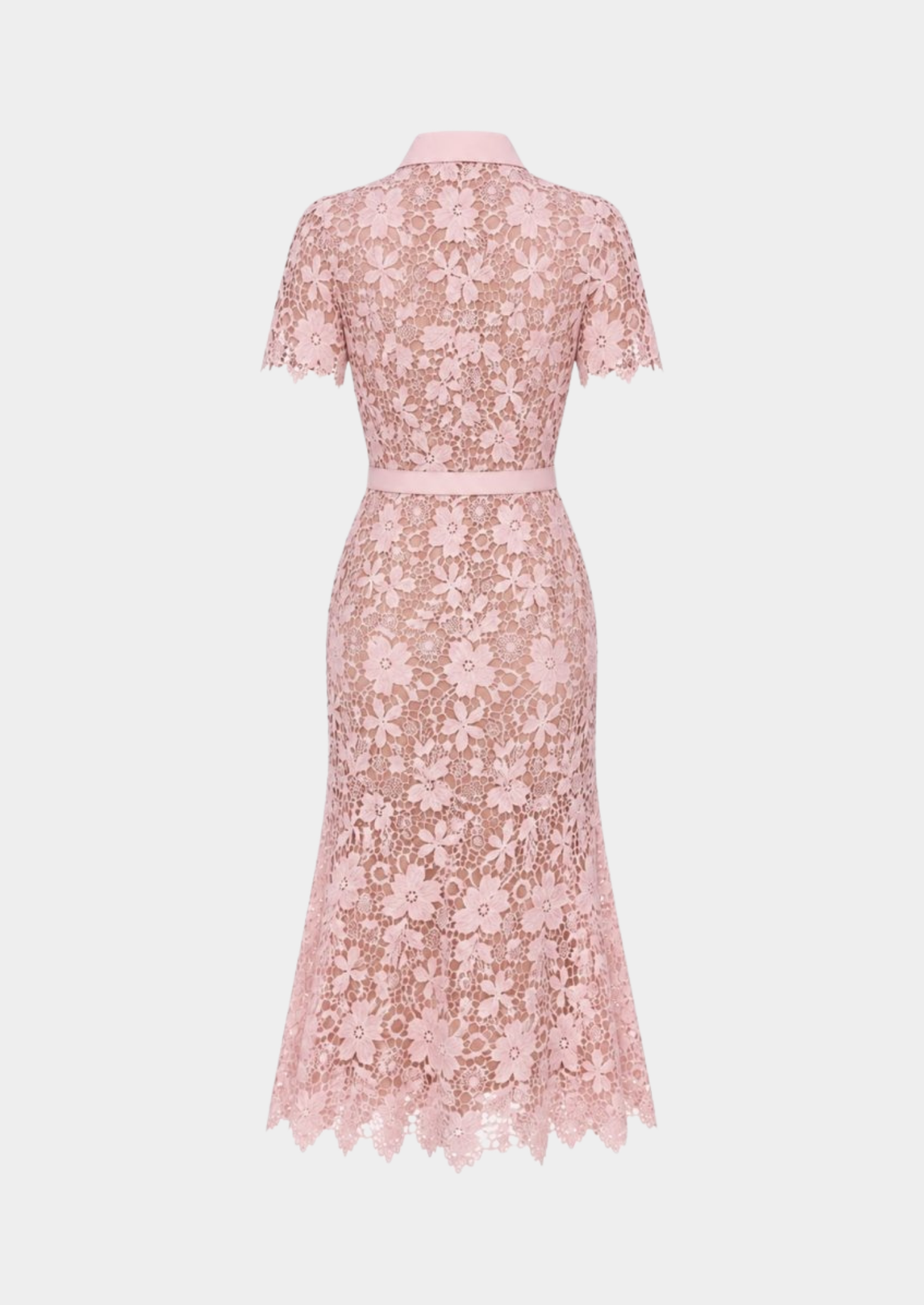 Women’s Floral Lace Midi Dress with Short Sleeves and Belt